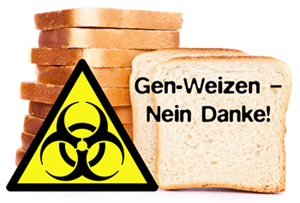 Aktion: Gen-Weizen - Nein danke!